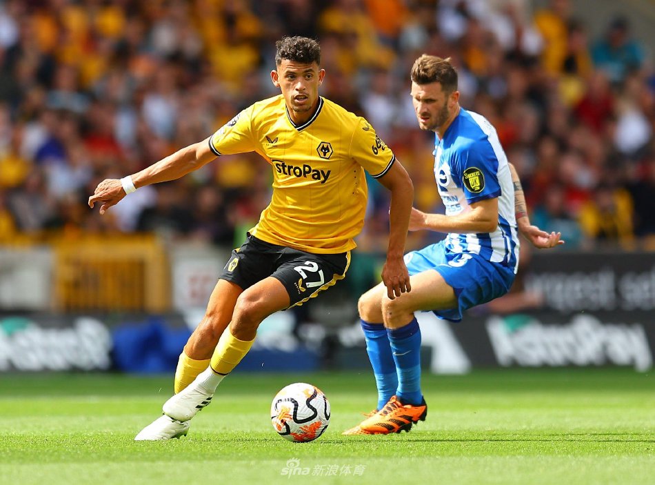 结能力打进 结能力打进